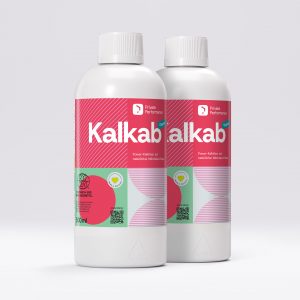 Kalkab Doppelpack (Badreiniger-Konzentrat